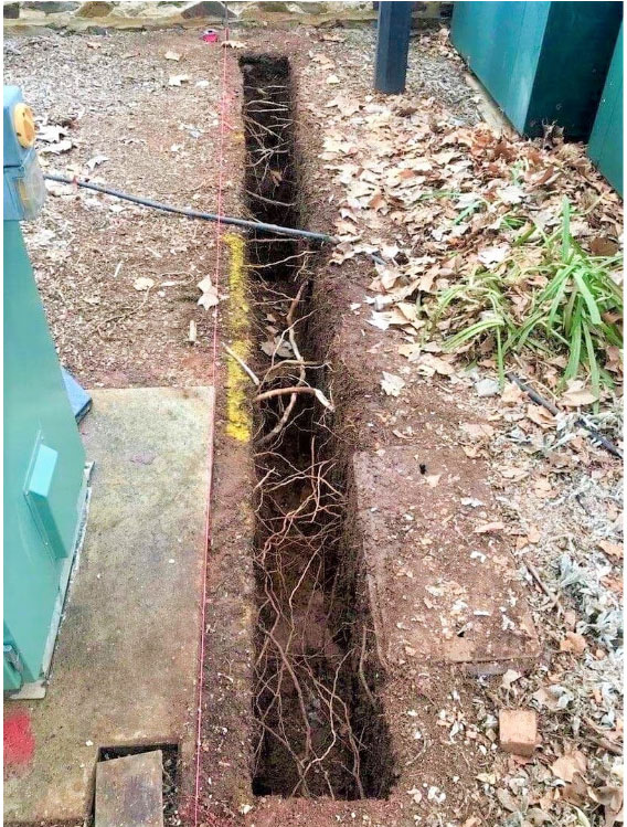  A long trench showing many fine intact tree roots to demonstrate that hydro excavation causes minimal damage to underground assets and tree roots.
